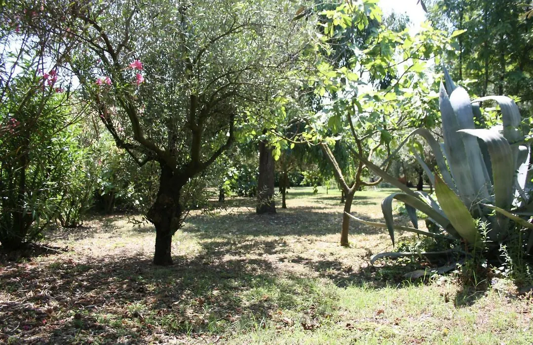 Il Boschetto-1